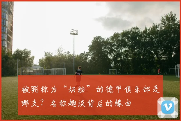 被昵称为“奶粉”的德甲俱乐部是哪支？名称趣谈背后的缘由