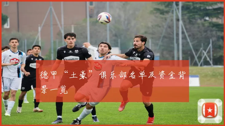 德甲“土豪”俱乐部名单及资金背景一览