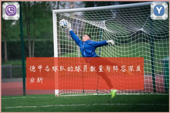 德甲各球队的球员数量与阵容深度分析