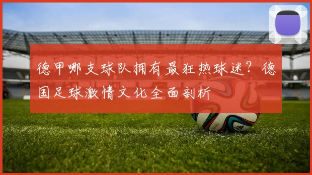 德甲哪支球队拥有最狂热球迷？德国足球激情文化全面剖析
