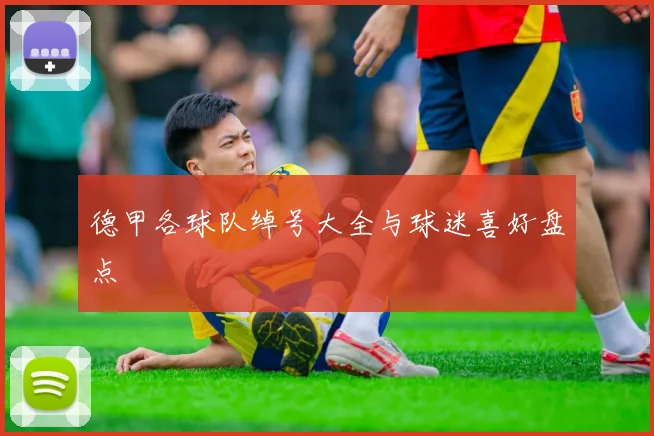 德甲各球队绰号大全与球迷喜好盘点